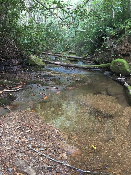 Stream along Headwaters Trail.