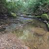 Stream along Headwaters Trail.