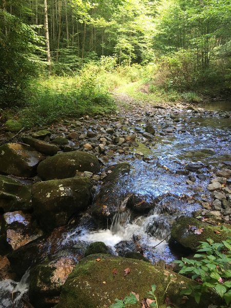 Stream crossing on Headwaters Trail.