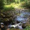 Stream crossing on Headwaters Trail.