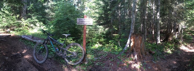 Trail junction marker from the gravel road. Let the fun begin as you head down Alpine!