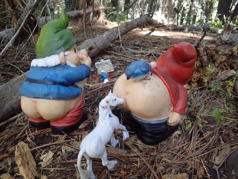 Sometimes the gnomes get... rearranged.  Over the last 12 years, there have been hundreds of different gnomes.