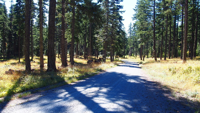 Gravel section of NF-17.