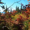 Very beginnings of fall foliage, with the vine maples burning red.