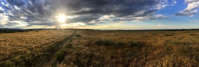 Looking west towards the overlook.