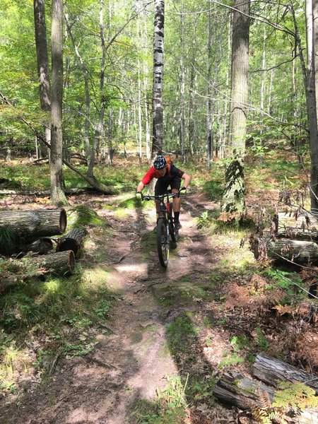 A rocky section of trail makes for a fun and challenging obstacle.