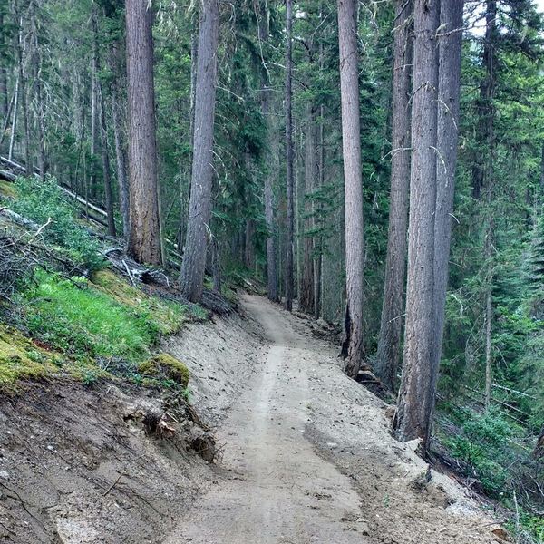 Section of groomed XC cross-country trail on north leg of route.