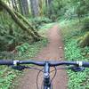 Smooth, singletrack descending in Shellburg Falls