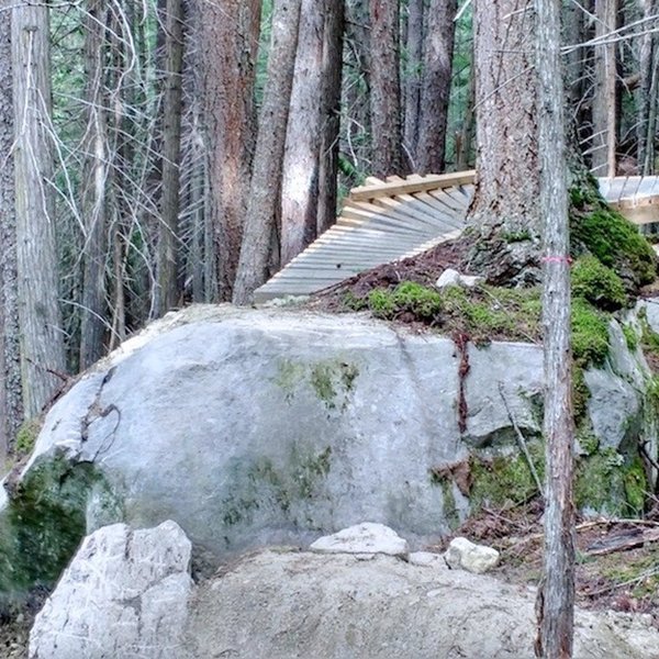 Ladder and boulder drop-off.