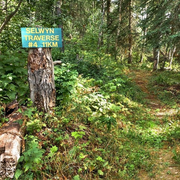 Trailhead at 5 Mile Road.