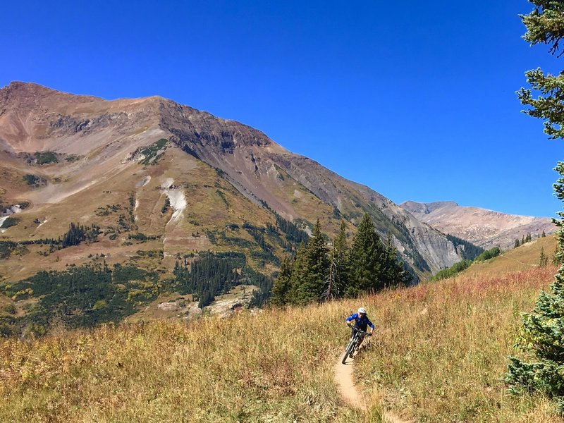 401 trail in Crested Butte in September