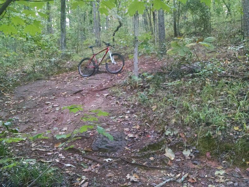 "Slickrock"   - come see the stone that gives red mountain its name!