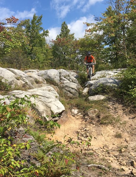 Exiting from Moon Rocks -- Moon HooDoo Rocks Trail, Davis, WV