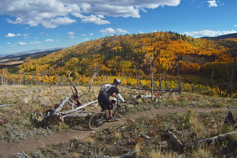 Sheep Creek fall color fest