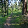 Mineral Point Trail 82, Lake Pend Oreille, Idaho.