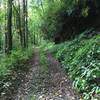 Climbing White Oak Flats Trail on rocky doubletrack.