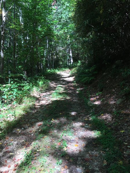 Climbing doubletrack on Birchfield Camp Trail