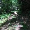 Climbing doubletrack on Birchfield Camp Trail