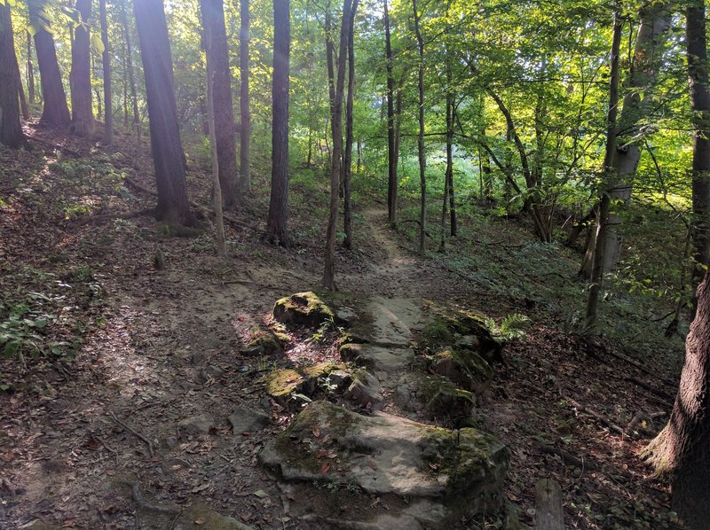 A nice rock feature on Hooper's Hallow