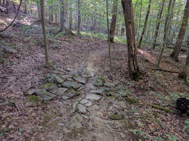 One of the rock gardens on Sled Ride!