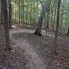 A fun berm on Sled Ride!