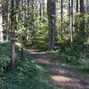 Lost Creek Trail at Buck Mountain Loop Junction.