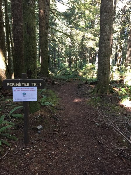 Sign at the junction of the Perimeter Trail and Buck Mountain Trail.