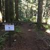 Sign at the junction of the Perimeter Trail and Buck Mountain Trail.