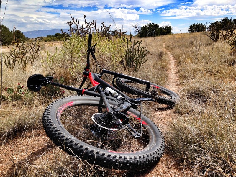 Riding super narrow track on the 6 Fattie S-Works. New Mexico.