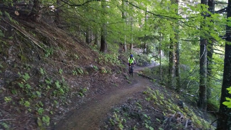 Heading up Ape Canyon.