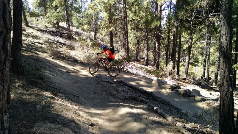 A little switchback action.