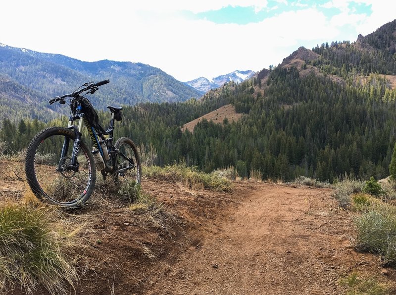 Last view spot before dropping into a great set of high banked turns to the end of the trail.