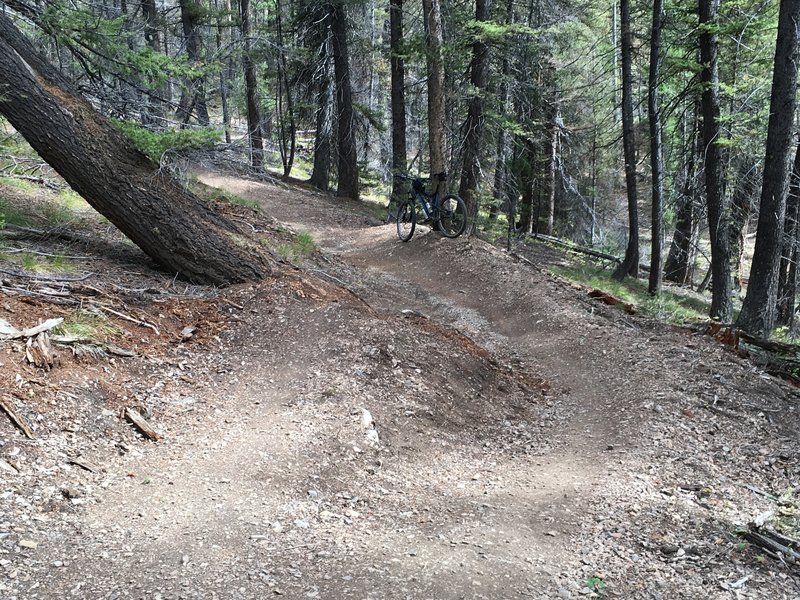 Another example of the many 'B-lines' the trail builders have included into the trails here.