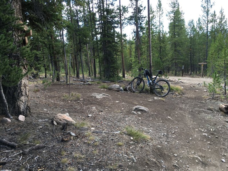 This intersection is easy to blow through. The Spring Cr Trail is a hard left here; the Senate Meadows loop is straight ahead