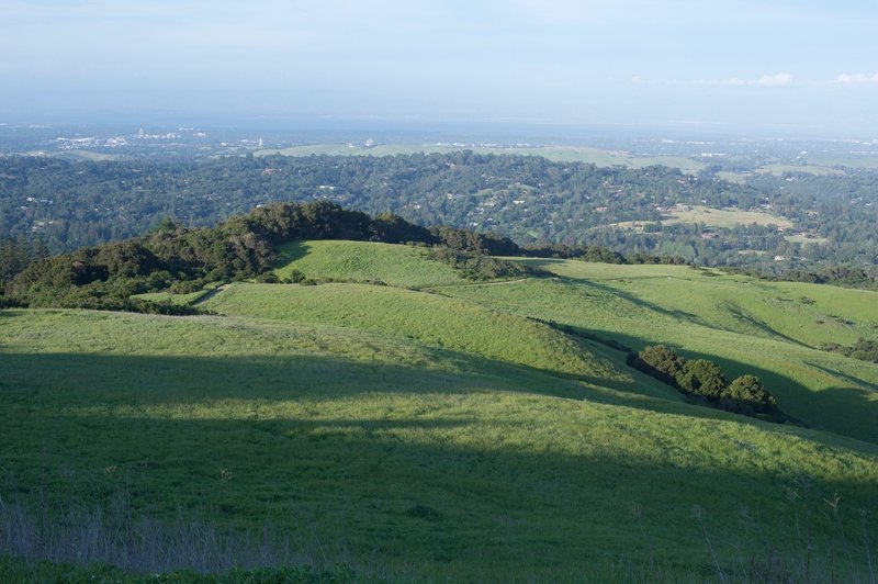 The view of the preserve and the Stanford Dish beyond from the Spring Ridge Trail.