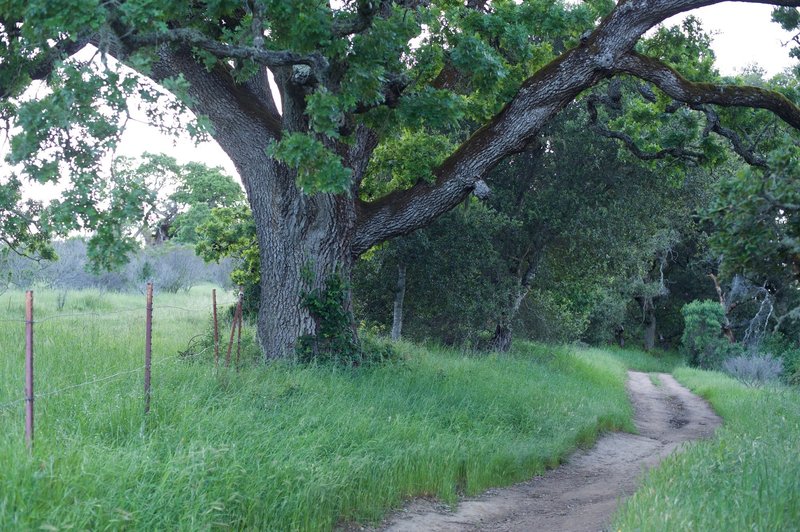 The Meadow Trail follows private property for a short distance.