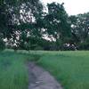 The Meadow Trail makes its way through a meadow.