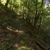 Last climb on Cross Ridges Trail prior to the intersection with footpath Cherry Knobs Trail at the top of the ridge.