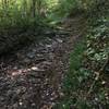 Section of rocky climb on Front Hollow Road headed to Leadbetter Gap.