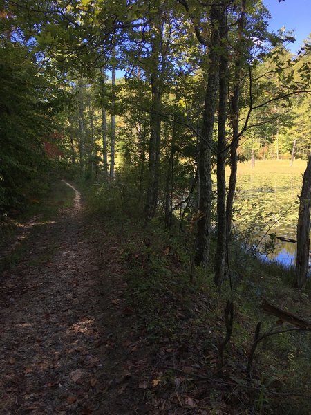 Looking behind on Lake Road along the reservoir.