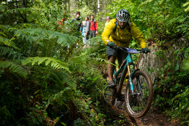 Watch out for the stump-pinch-point right after the first road crossing on Little Larch.