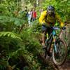 Watch out for the stump-pinch-point right after the first road crossing on Little Larch.