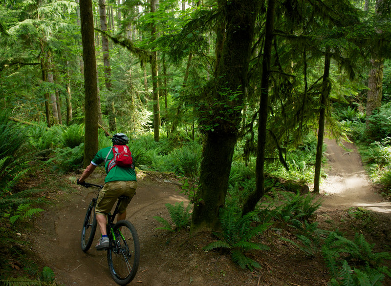 Pedaling into one of several valley dips on Ryan's Line at Duthie Hill Park, WA.