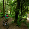 Pedaling into one of several valley dips on Ryan's Line at Duthie Hill Park, WA.