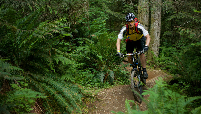 Step it up is a rolling cross country trail with sections of flow to liven things up. Duthie HIll Park, WA.