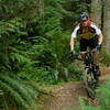 Step it up is a rolling cross country trail with sections of flow to liven things up. Duthie HIll Park, WA.