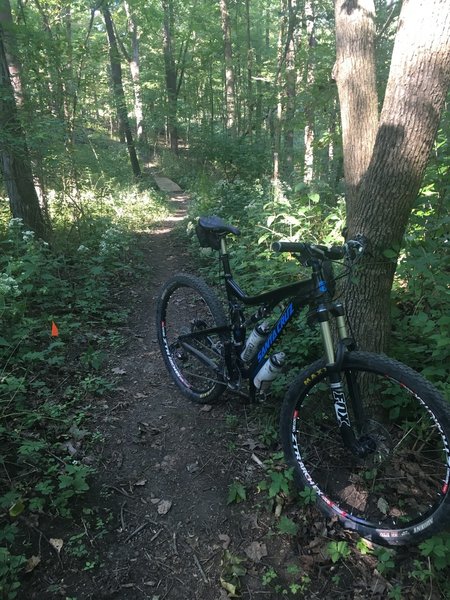 Lots of skinny bridges and tight corners throughout this system.