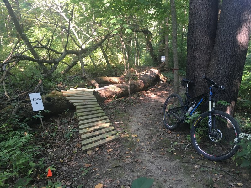 Most of these trails are a novice rating; however, the builders have left in a few features along the way.