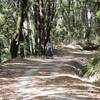 About 1 mile into the trail. Just got off the paved road and now this is the fire-road. Harder singletrack running parallel.