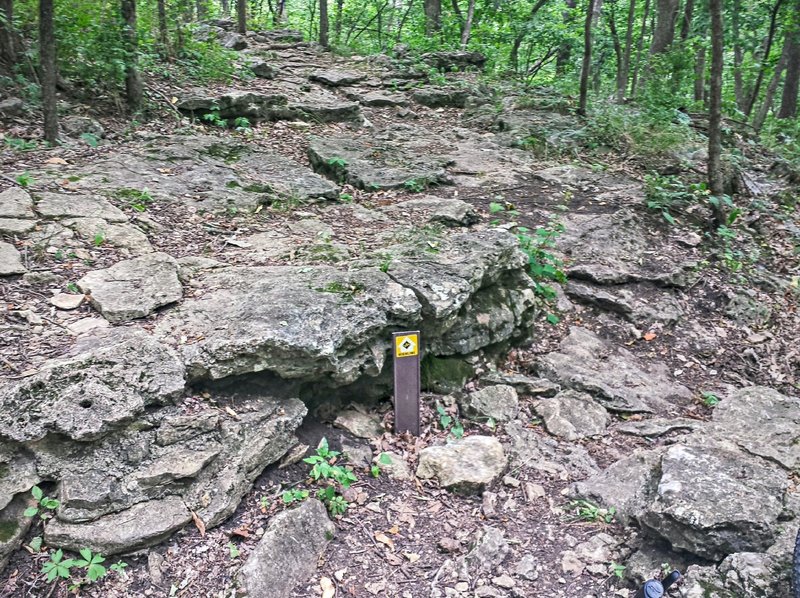 This is the high point of the Highline Trail and the step-up to get there.